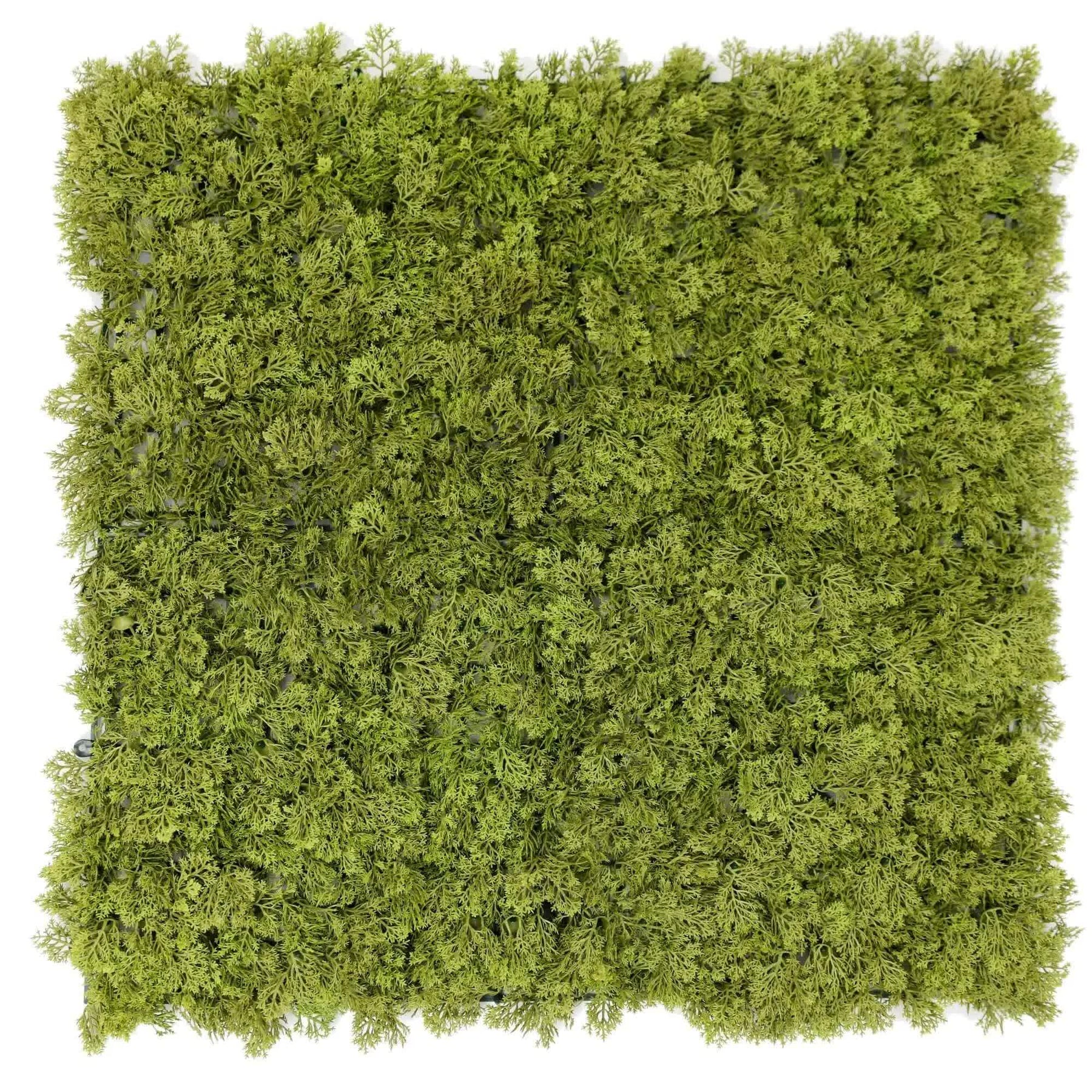 Nearly Natural Imitation Moss Panel UV Resistant 100cm x 100cm - Customizable, Low Maintenance - SuperSaverAU - view 1