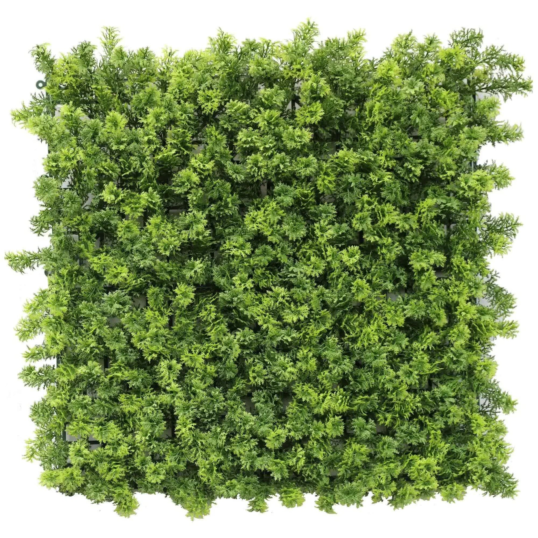 Green Nearly Natural Imitation Moss Panel 100cm x 100cm UV Resistant - SuperSaverAU - view 1