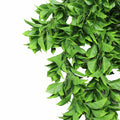 Premium Artificial Dense Hanging Flowering Pothos Bush – Vivid Green 27 x 72cm