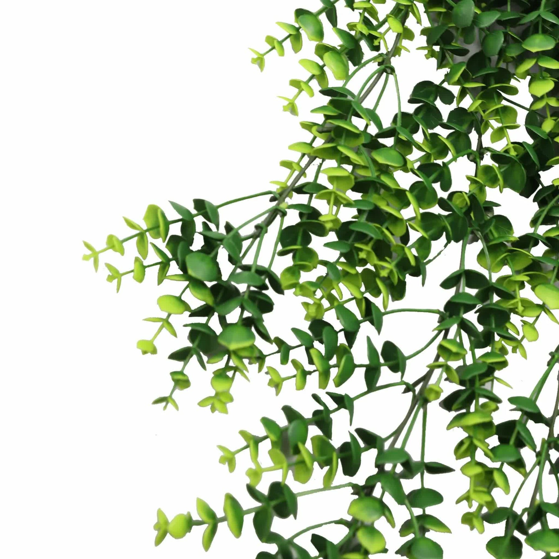 Premium Artificial Dense Hanging Eucalyptus Garland Bush – Lush Green 18 x 77cm