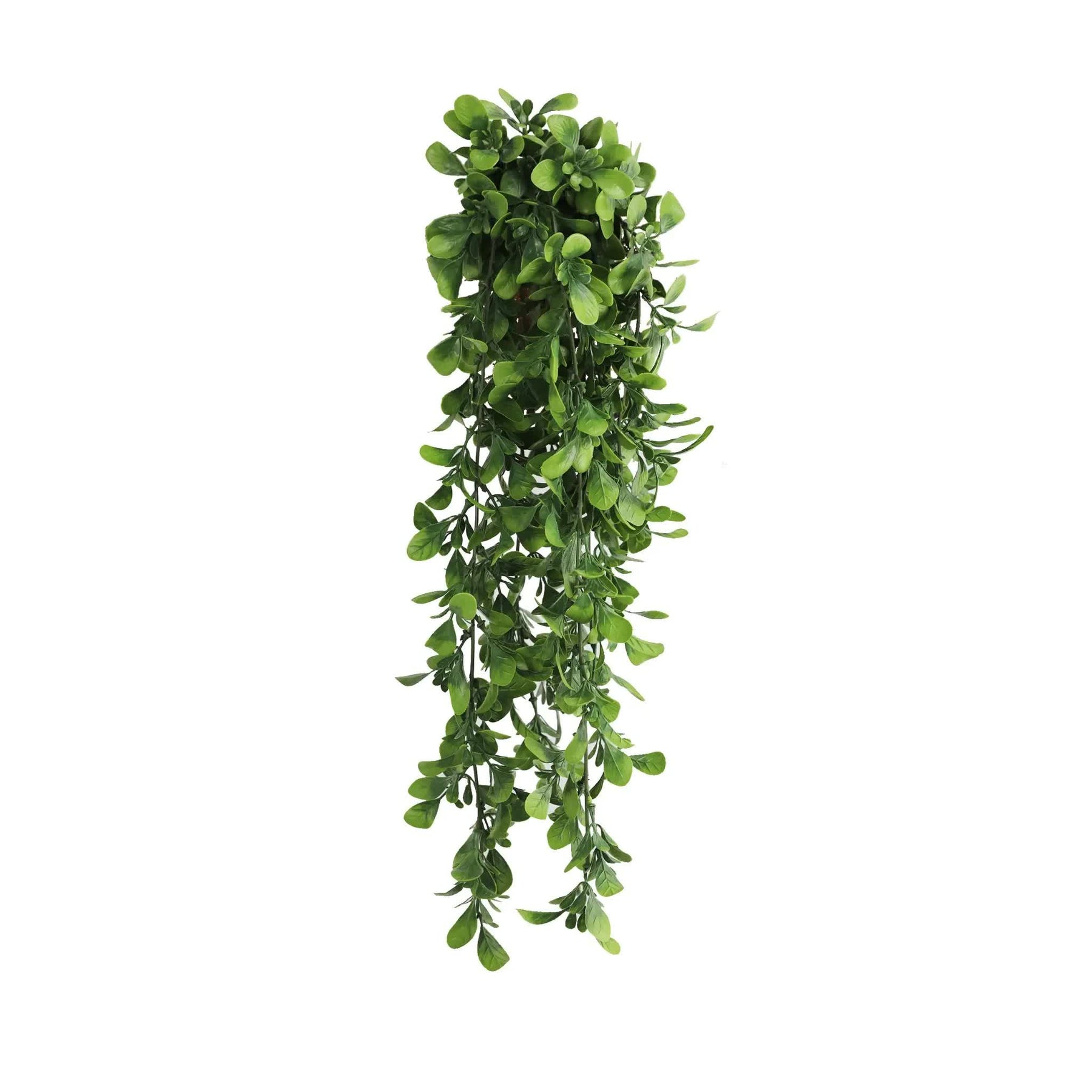 Artificial Creeping Fig Garland Bush UV Resistant & Fire Rated 18cm x 76cm - SuperSaverAU - view 1
