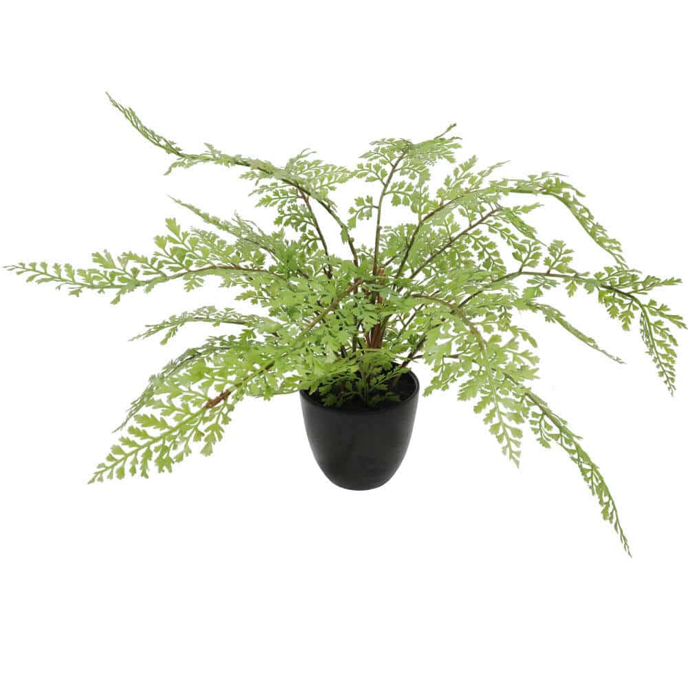 Artificial Small Potted Fern 35cm | Ultra Realistic Faux Plant for Home & Office - SuperSaverAU - view 1