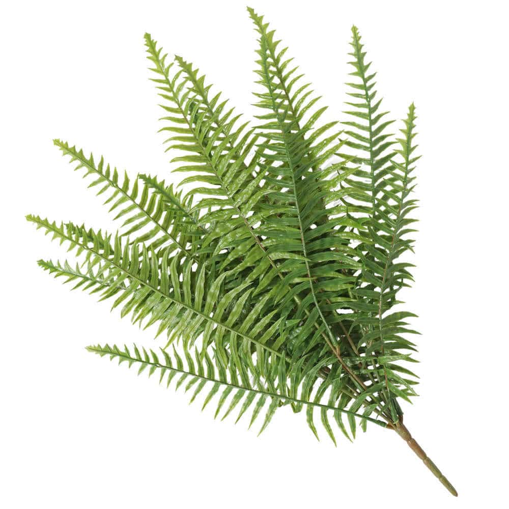 Designer Plants Artificial Fern (Lady Fern) 50cm UV Resistant for Indoor/Outdoor Use - SuperSaverAU - view 1