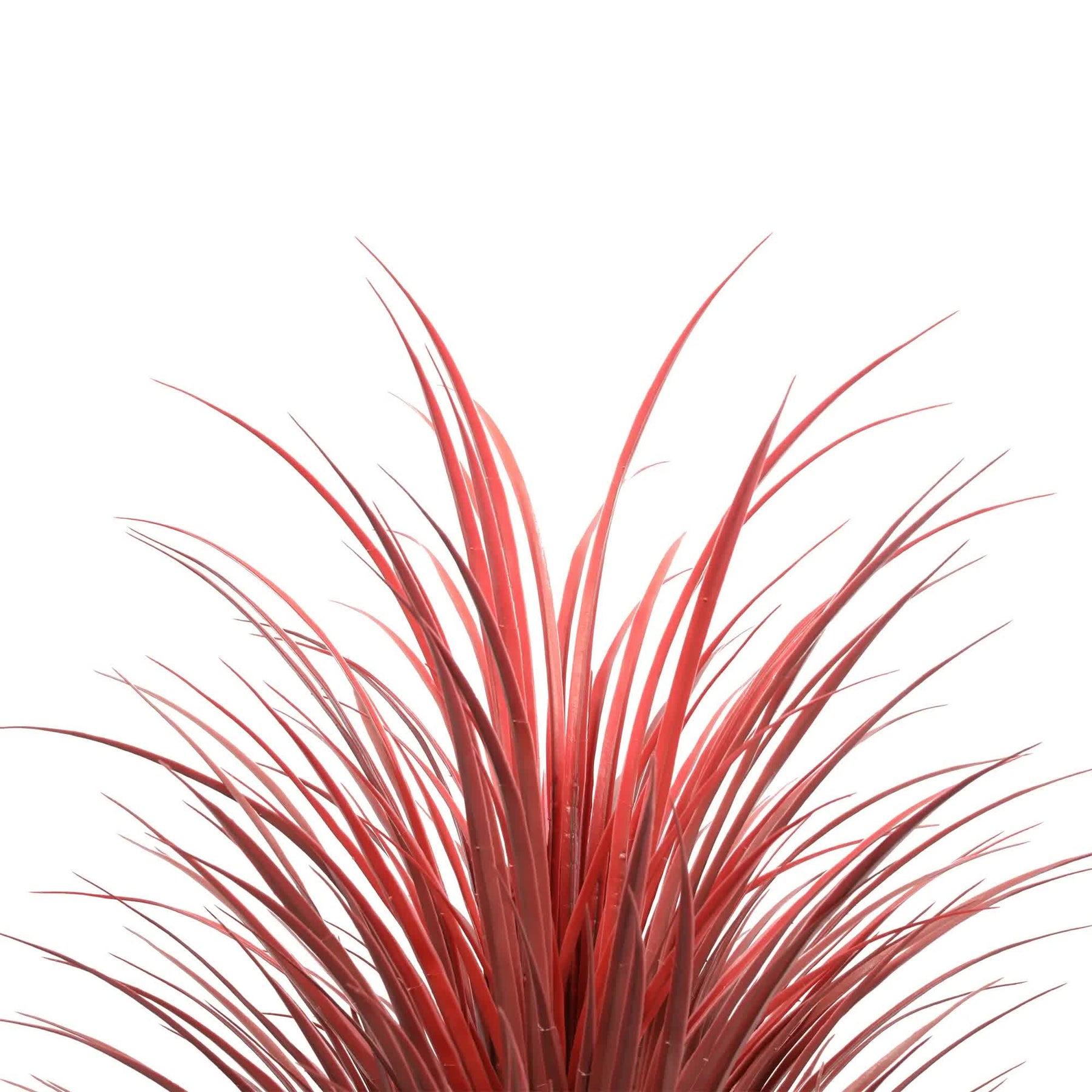 Potted Artificial Burgundy Grass Plant 115cm - UV Resistant, Indoor/Outdoor - SuperSaverAU - view 3