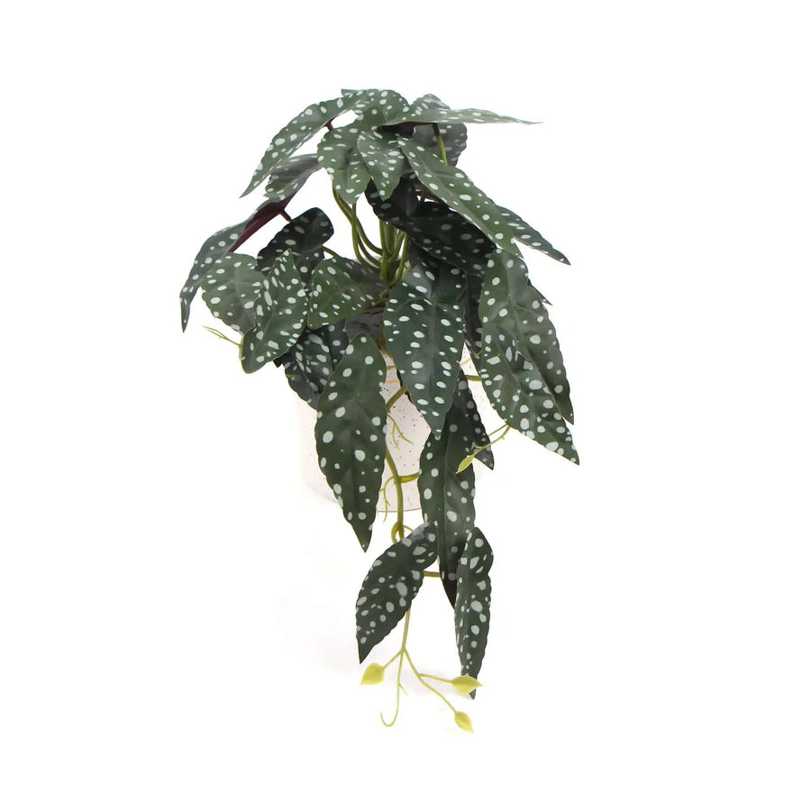 Artificial Bergonia Plant in Decorative White Ceramic Bowl 30cm - SuperSaverAU - view 1