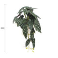 Artificial Bergonia Plant in Decorative White Ceramic Bowl 30cm - SuperSaverAU - view 2