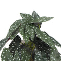 Artificial Bergonia Plant in Decorative White Ceramic Bowl 30cm - SuperSaverAU - view 3