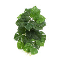 Artificial Monstera Adansonii Plant 50cm - Lifelike Indoor Decor, Easy Maintenance - SuperSaverAU - view 1
