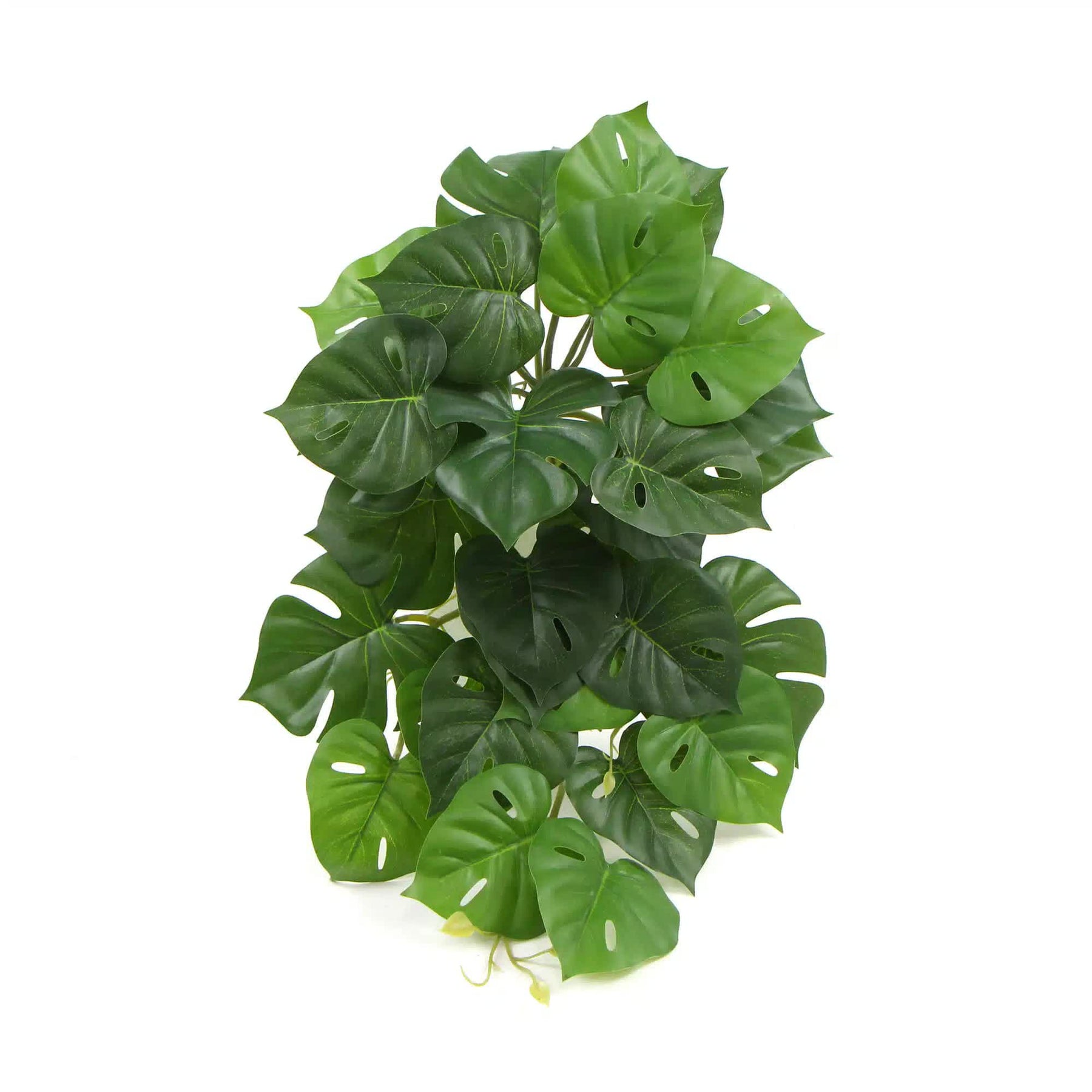 Artificial Monstera Adansonii Plant 50cm - Lifelike Indoor Decor, Easy Maintenance - SuperSaverAU - view 1
