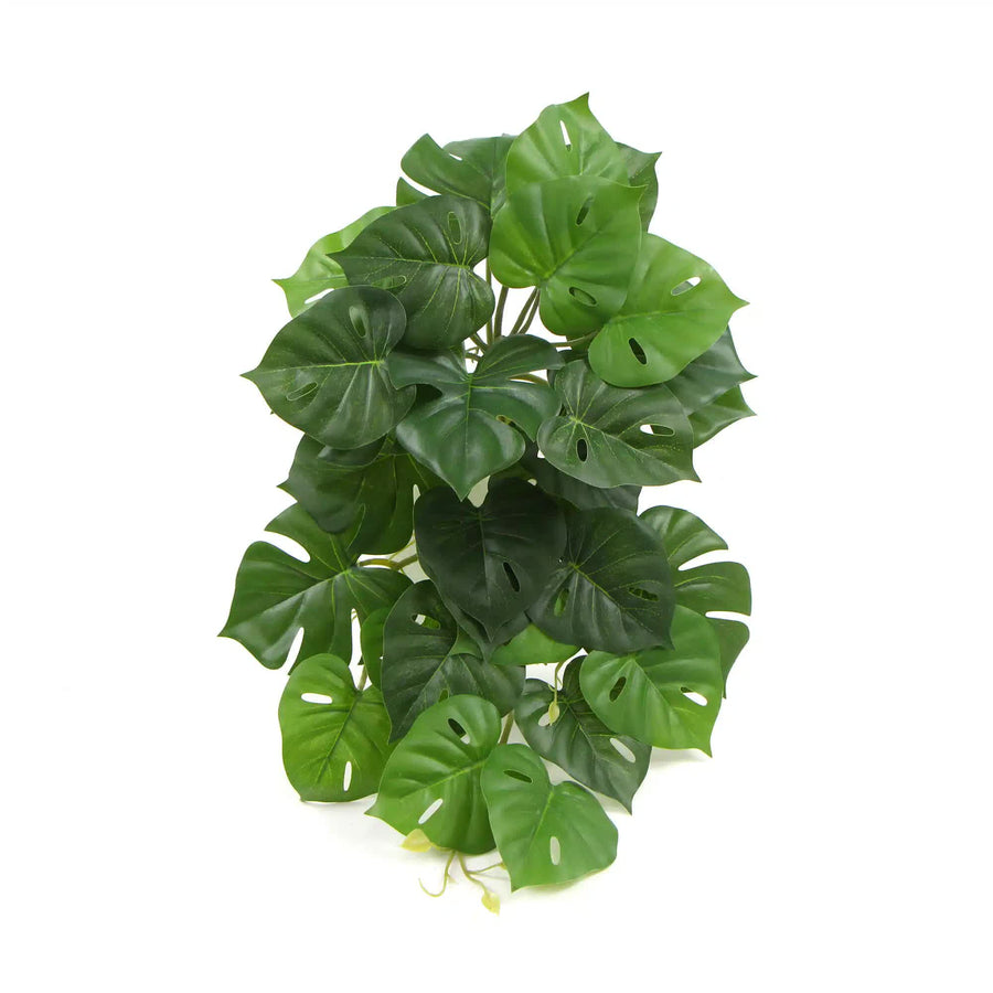 Artificial Monstera Adansonii Plant 50cm - Lifelike Indoor Decor, Easy Maintenance - SuperSaverAU - view 1