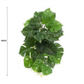 Artificial Monstera Adansonii Plant 50cm - Lifelike Indoor Decor, Easy Maintenance - SuperSaverAU - view 2