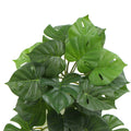 Artificial Monstera Adansonii Plant 50cm - Lifelike Indoor Decor, Easy Maintenance - SuperSaverAU - view 3