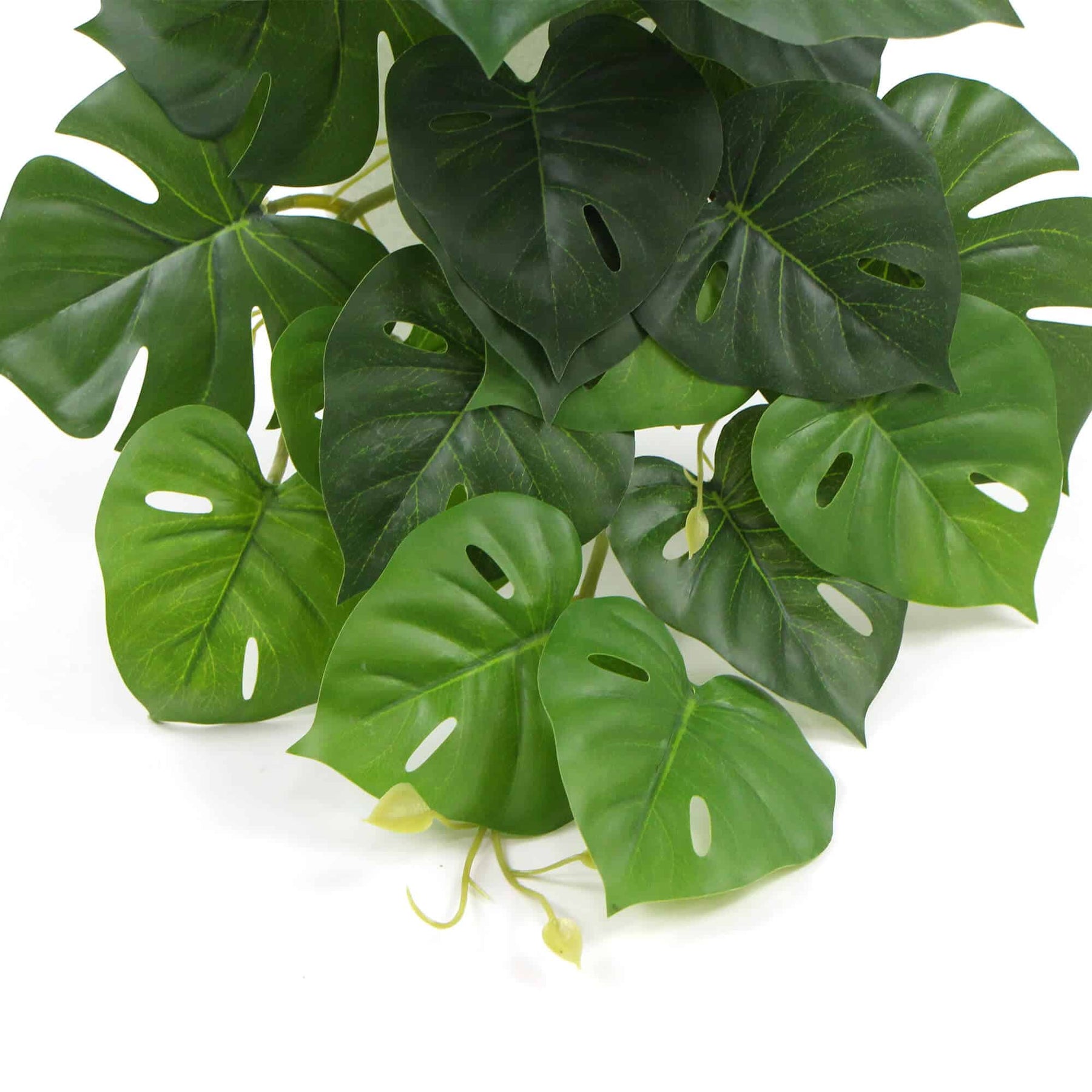Artificial Monstera Adansonii Plant 50cm - Lifelike Indoor Decor, Easy Maintenance - SuperSaverAU - view 4