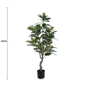 Elegant Variegated Ficus Tree 120cm - Lush Indoor/Outdoor Plant in Dark Pot - SuperSaverAU - view 1