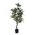 Elegant Variegated Ficus Tree 120cm - Lush Indoor/Outdoor Plant in Dark Pot - SuperSaverAU - view 2