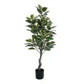 Elegant Variegated Ficus Tree 120cm - Lush Indoor/Outdoor Plant in Dark Pot - SuperSaverAU - view 3
