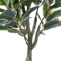 Elegant Variegated Ficus Tree 120cm - Lush Indoor/Outdoor Plant in Dark Pot - SuperSaverAU - view 5