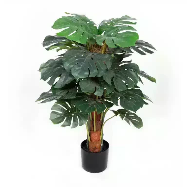 Premium Artificial Monstera Plant 2-3ft in Modern Black Pot - No Watering Required - SuperSaverAU - view 2