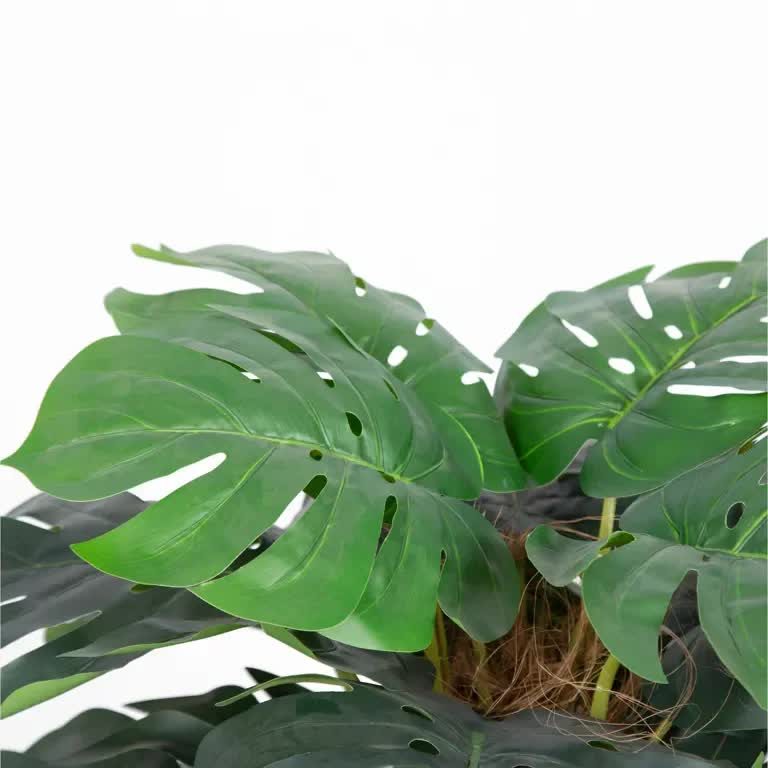 Premium Artificial Monstera Plant 2-3ft in Modern Black Pot - No Watering Required - SuperSaverAU - view 4