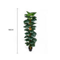 Artificial Monstera Plant 2-3ft with Black Pot - Zero Upkeep, Durable Design - SuperSaverAU - view 1