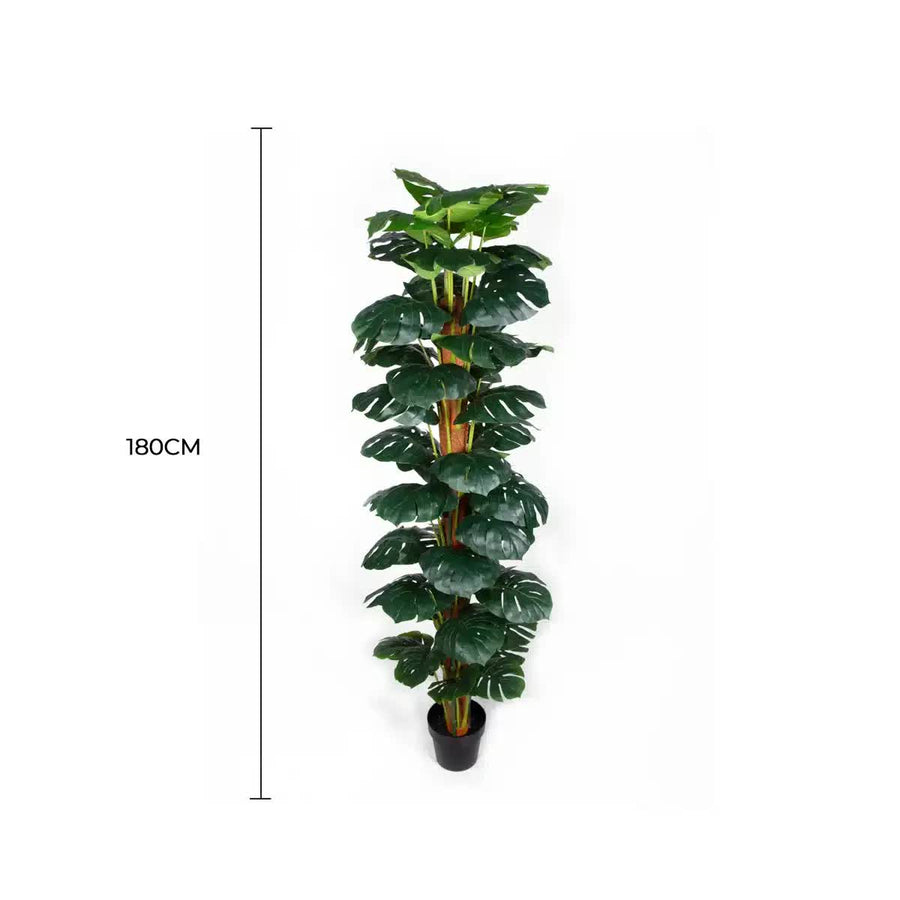 Artificial Monstera Plant 2-3ft with Black Pot - Zero Upkeep, Durable Design - SuperSaverAU - view 1