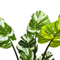Luxe Foliage 150cm Artificial Potted Monstera & Palm Plant - Zero Maintenance - SuperSaverAU - view 5