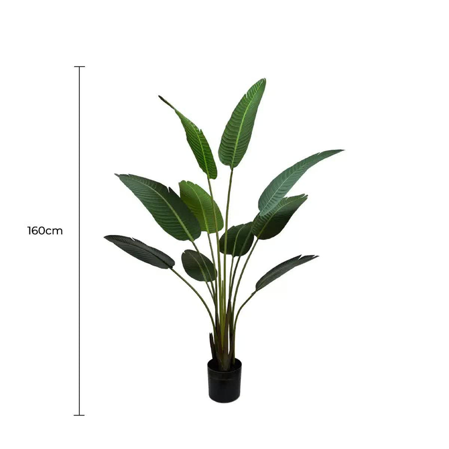 Serenity Banana Palm Tree 160cm - Artificial Tropical Plant in Black Pot - SuperSaverAU - view 1