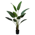 Serenity Banana Palm Tree 160cm - Artificial Tropical Plant in Black Pot - SuperSaverAU - view 2