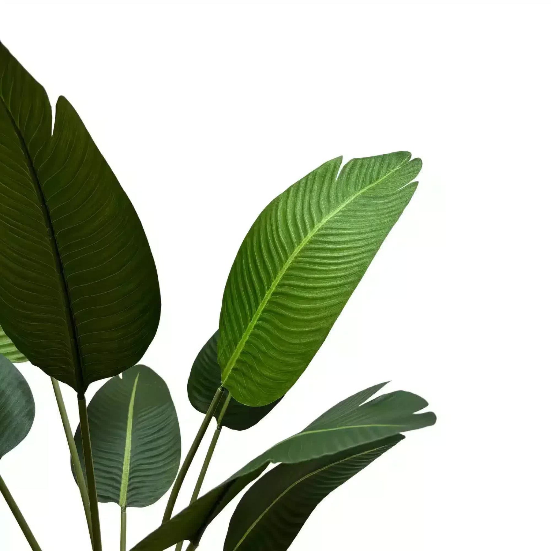 Serenity Banana Palm Tree 120cm - Artificial Plant in Modern Black Pot - SuperSaverAU - view 4