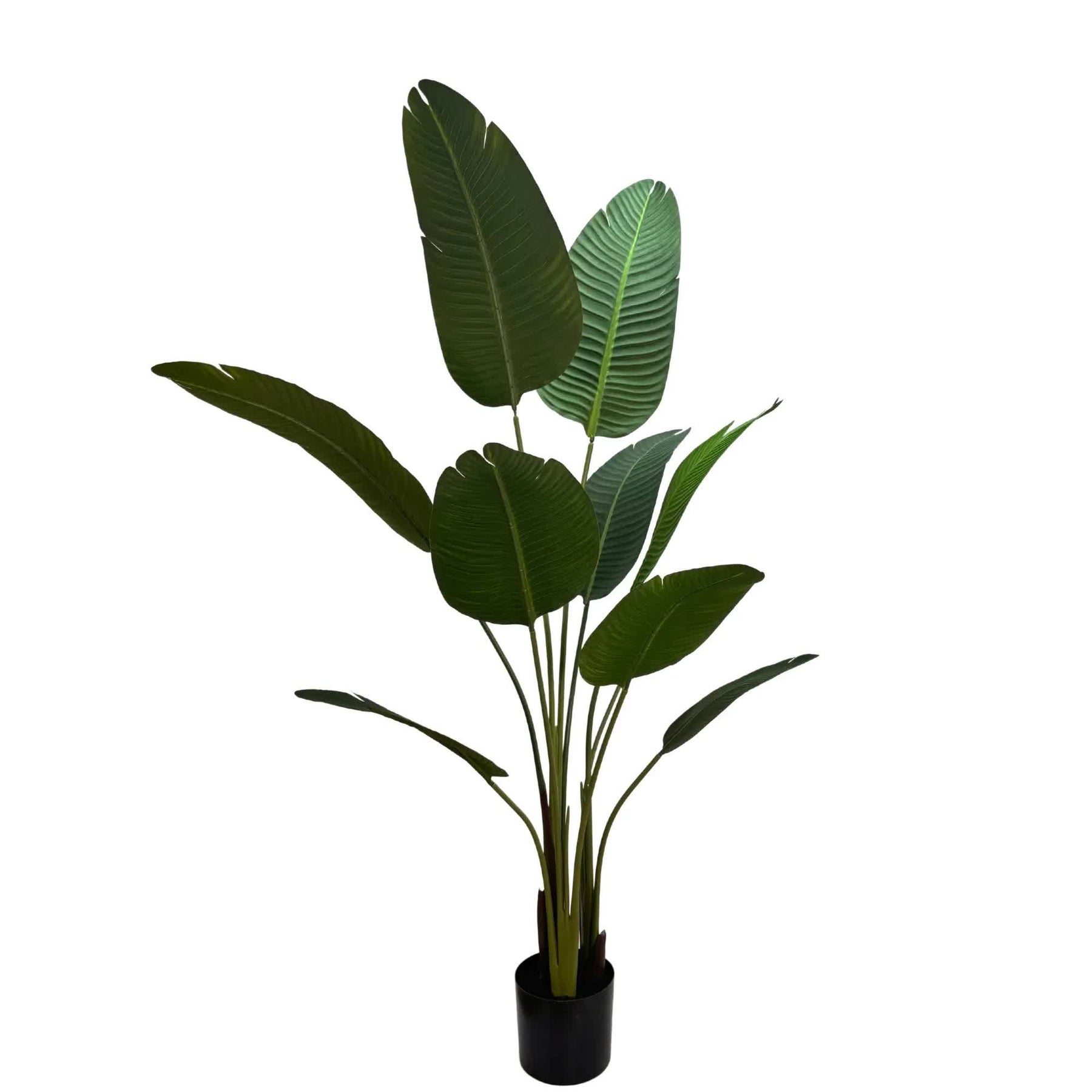 Serenity Banana Palm Tree 120cm - Artificial Plant in Modern Black Pot - SuperSaverAU - view 5