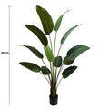 Serenity Banana Palm Tree 180cm - Artificial Tropical Plant in Black Pot - SuperSaverAU - view 1