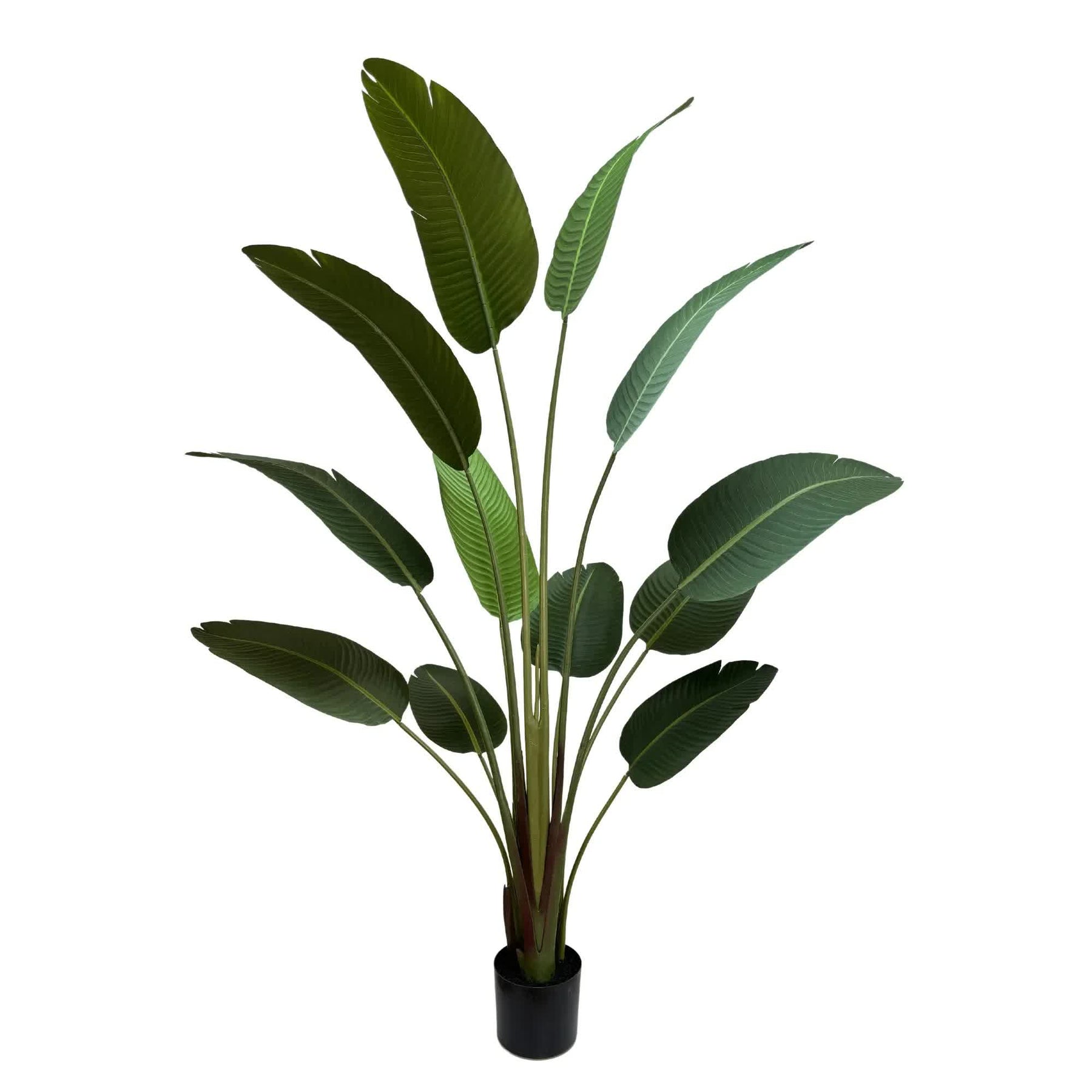 Serenity Banana Palm Tree 180cm - Artificial Tropical Plant in Black Pot - SuperSaverAU - view 2