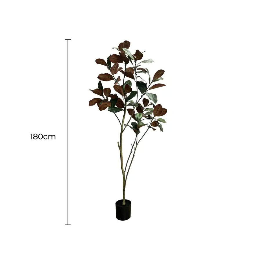 Artificial 180cm Magnolia Tree - Realistic, Maintenance-Free, Versatile Decor - SuperSaverAU - view 1