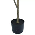 Artificial 180cm Magnolia Tree - Realistic, Maintenance-Free, Versatile Decor - SuperSaverAU - view 3