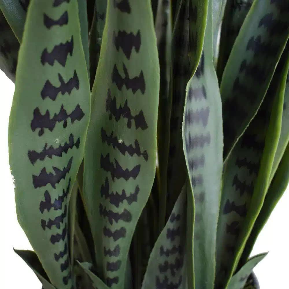 UV Artificial Snake Plant 90cm - Lifelike, UV Resistant, Maintenance-Free Decor - SuperSaverAU - view 2