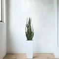 UV Artificial Snake Plant 90cm - Lifelike, UV Resistant, Maintenance-Free Decor - SuperSaverAU - view 3