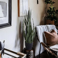 UV Artificial Snake Plant 90cm - Lifelike, UV Resistant, Maintenance-Free Decor - SuperSaverAU - view 4