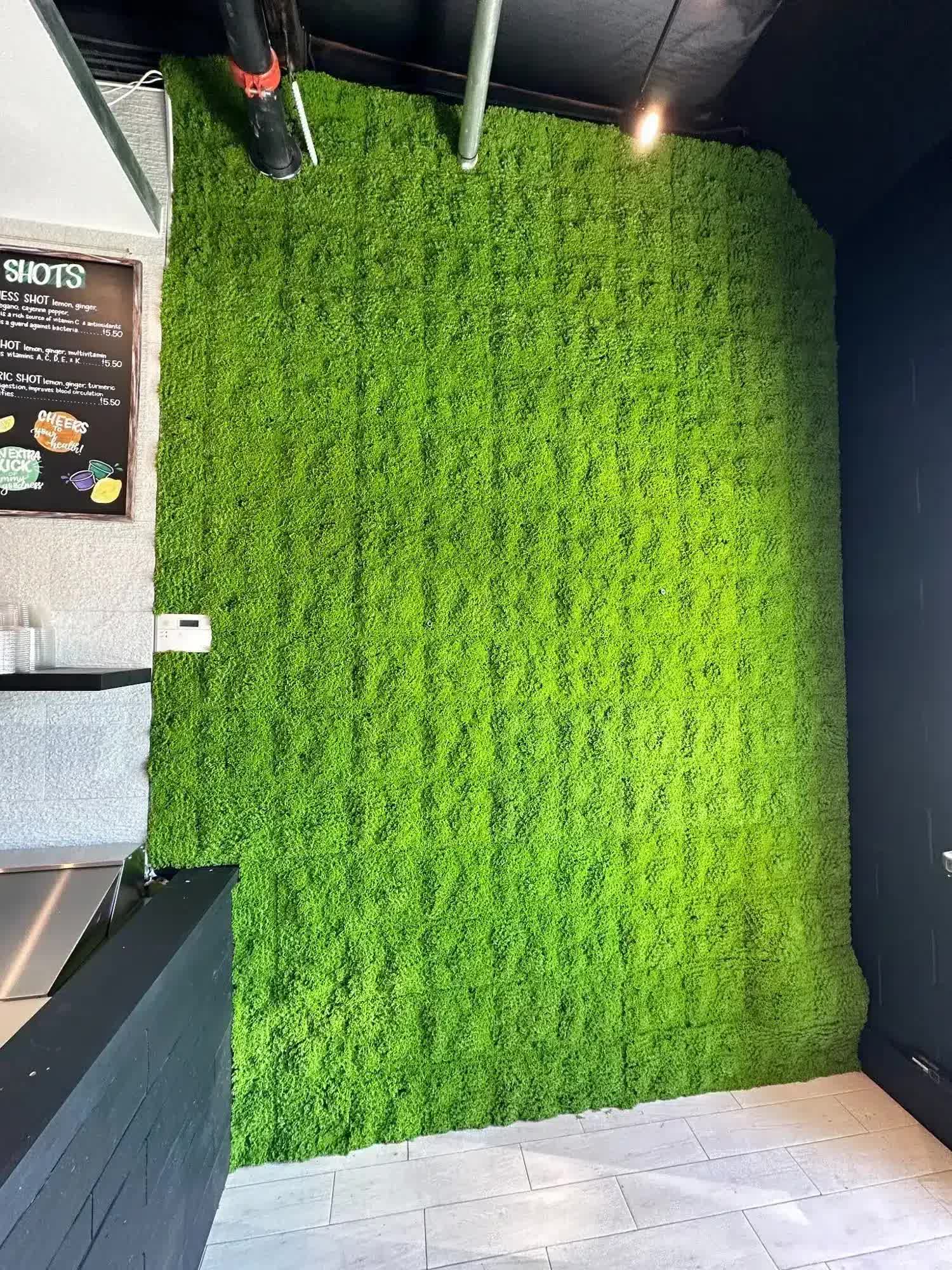 Designer Plants Fresh Natural Green Artificial Moss Wall UV Resistant 1m x 1m - SuperSaverAU - view 1