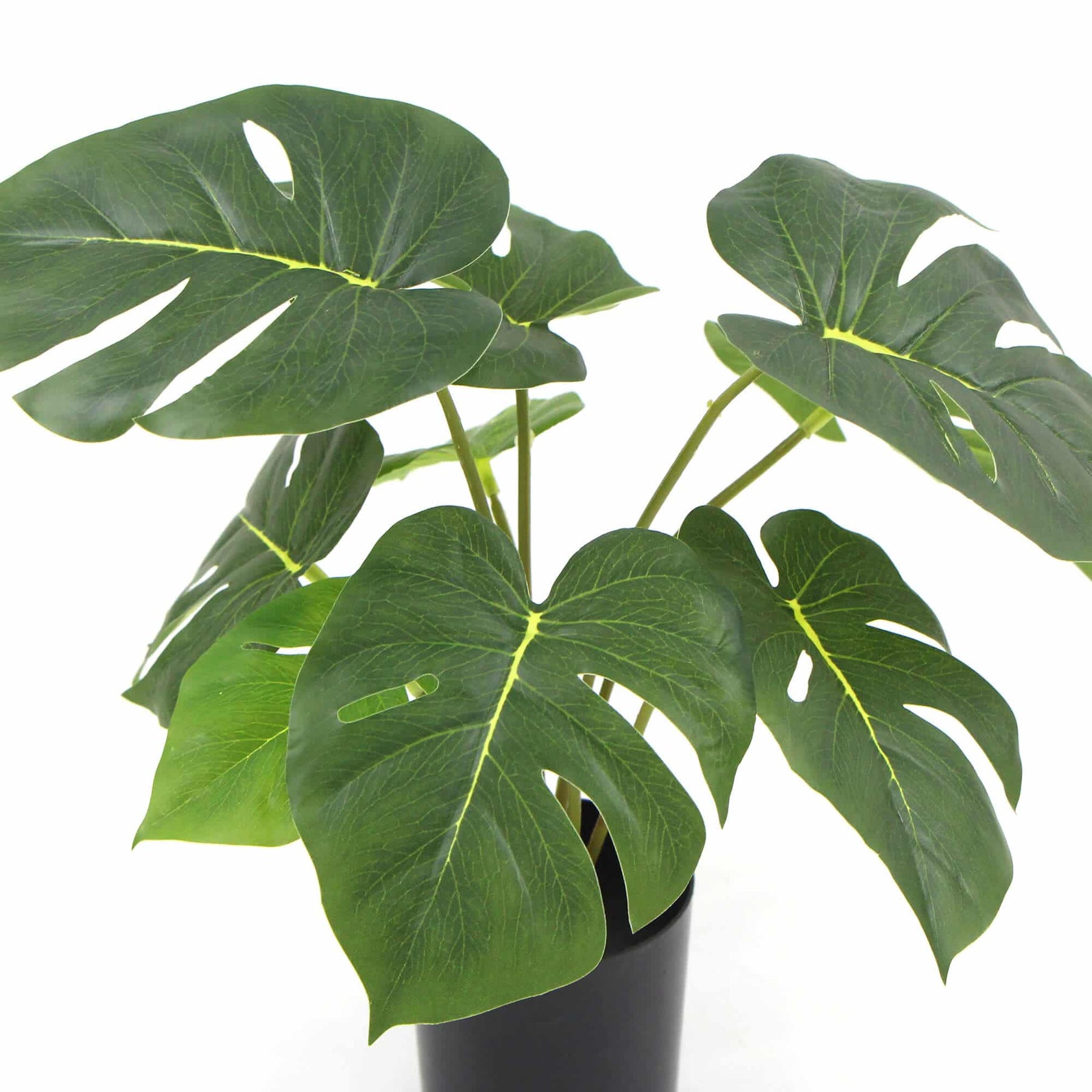 Potted Artificial Split Philodendron Plant with Real Touch Leaves 35cm - SuperSaverAU - view 3