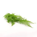 Artificial Hanging Boston Fern 85cm - UV Resistant, Vivid Green - SuperSaverAU - view 4