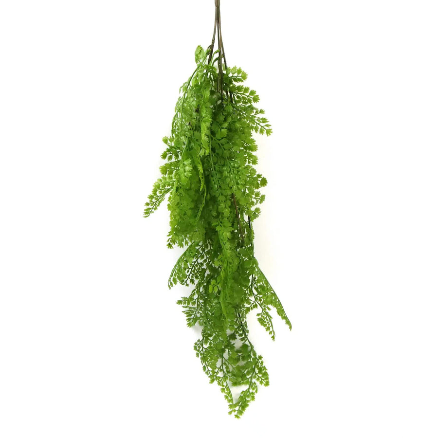 Designer Plants Hanging Native Green Dense Maiden Hair Bush UV Resistant 80cm - SuperSaverAU - view 1