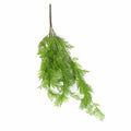 Designer Plants 80cm Hanging Maidenhair Fern Bush UV Resistant - Low Maintenance, Air Purifying - SuperSaverAU - view 1