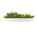 Flowering White Artificial Green Wall Disc 75cm UV Resistant White Frame - SuperSaverAU - view 2