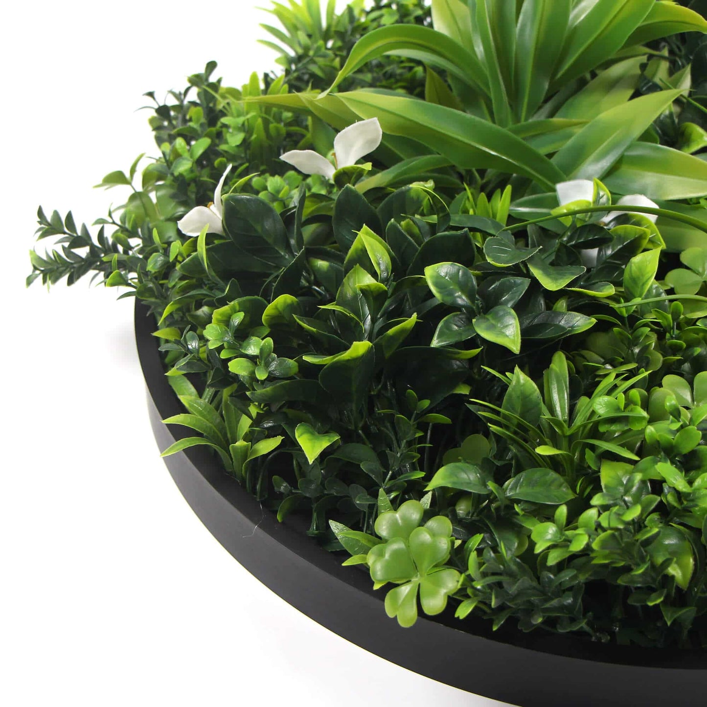 Flowering White Artificial Green Wall Disc 75cm UV Resistant Black Frame