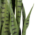 UV Artificial Snake Plant Medium 90cm - Indoor/Outdoor, Fade-Resistant - SuperSaverAU - view 3