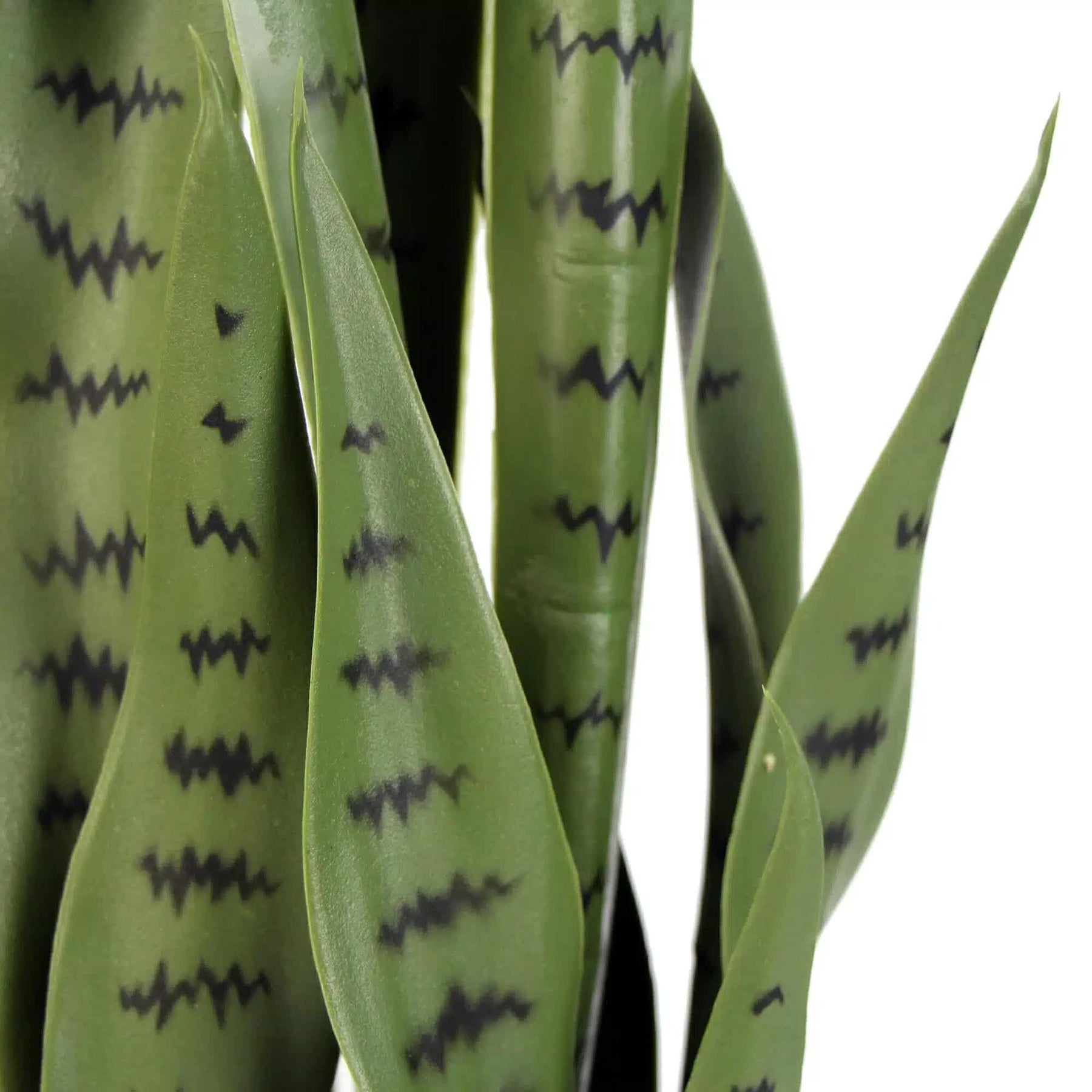 UV Artificial Snake Plant Medium 90cm - Indoor/Outdoor, Fade-Resistant - SuperSaverAU - view 3