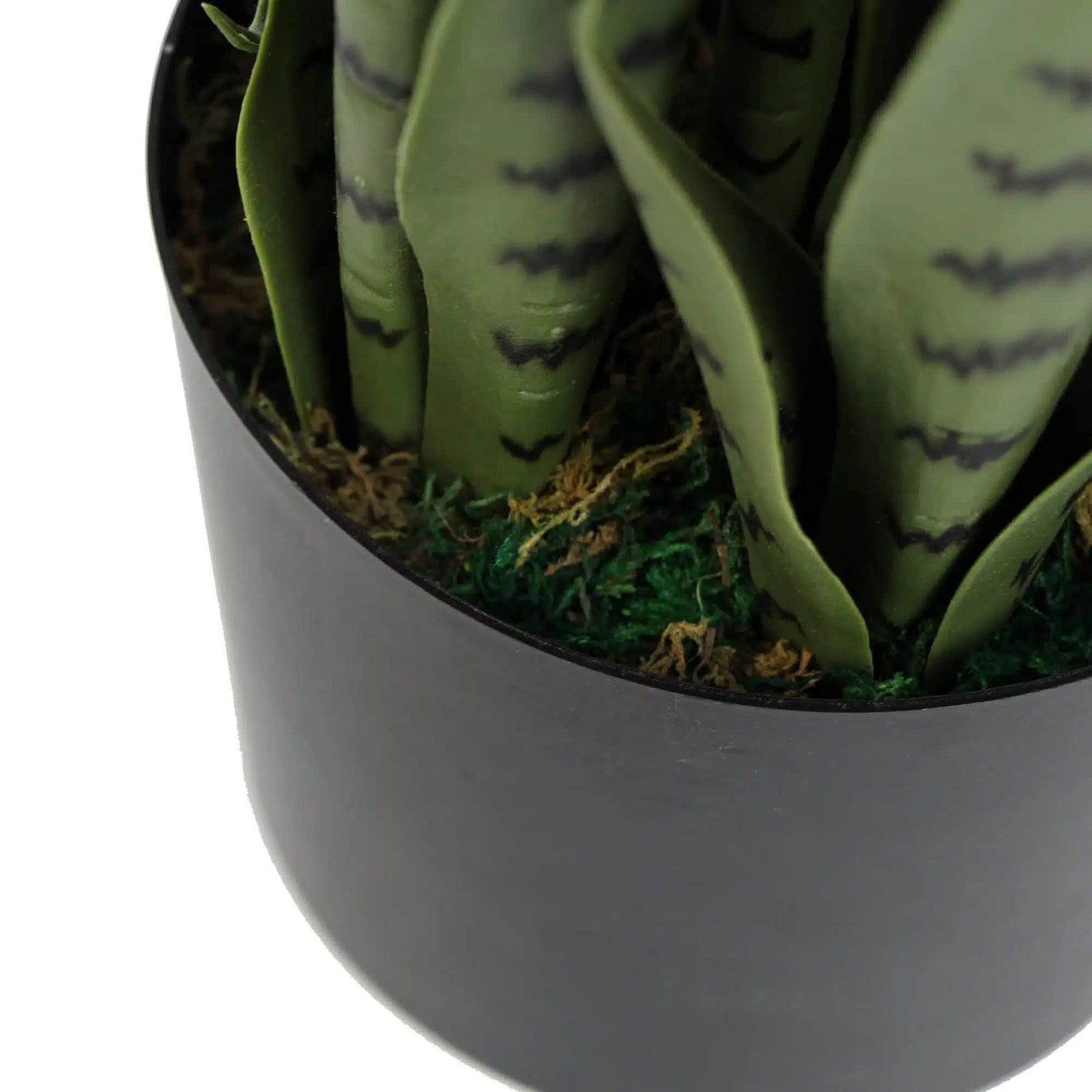 UV Artificial Snake Plant Medium 90cm - Indoor/Outdoor, Fade-Resistant - SuperSaverAU - view 4