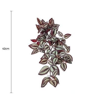 Designer Plants Artificial Hanging Burgundy Tradescantia Zebrina 42cm - Lifelike, Low Maintenance