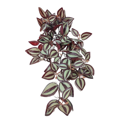 Designer Plants Artificial Hanging Burgundy Tradescantia Zebrina 42cm - Lifelike, Low Maintenance