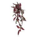 Designer Plants Artificial Hanging Burgundy Tradescantia Zebrina 42cm - Lifelike, Low Maintenance - SuperSaverAU - view 5